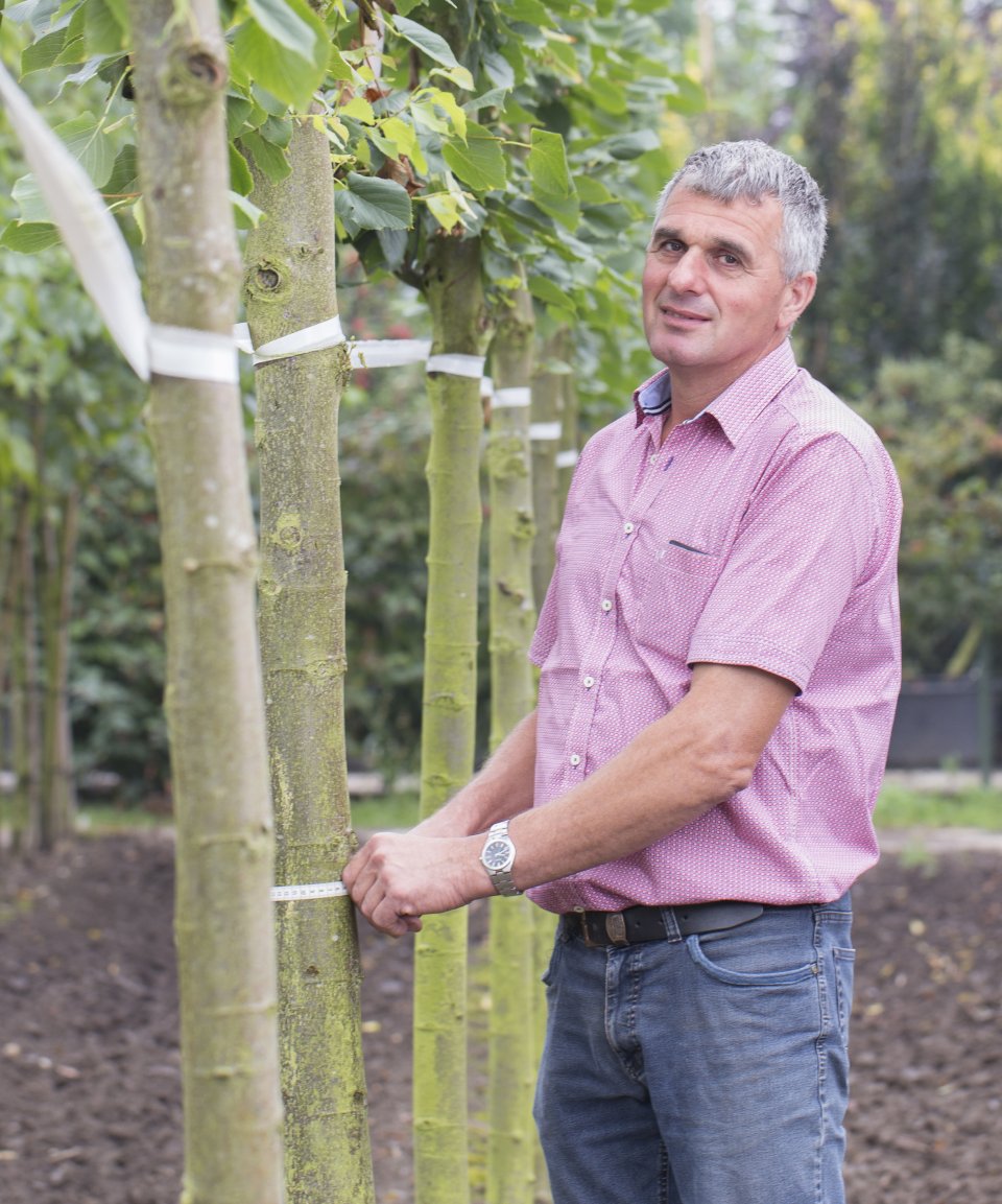 Boomkwekerij - Tuincentrum Huiting